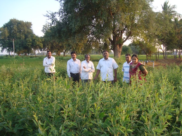 Seed production in  redgram at Farm.